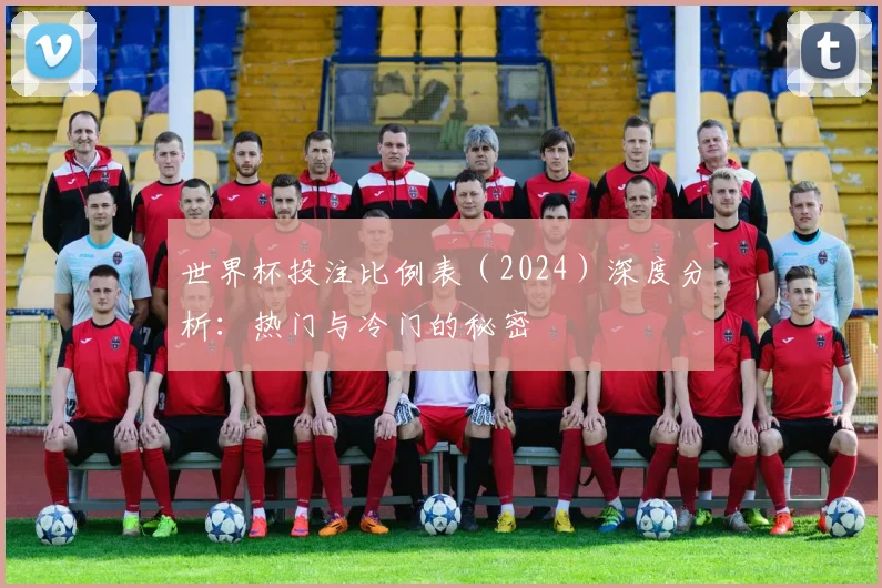 世界杯投注比例表（2024）深度分析：热门与冷门的秘密
