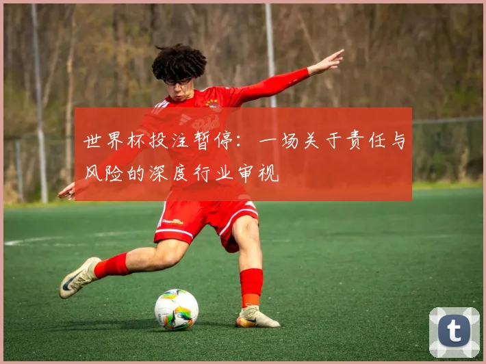 世界杯投注暂停：一场关于责任与风险的深度行业审视
