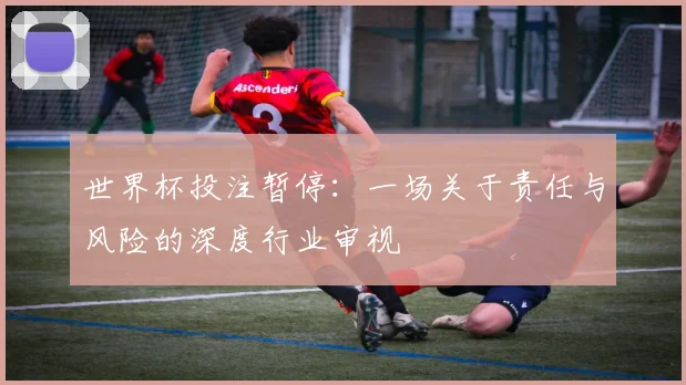 世界杯投注暂停：一场关于责任与风险的深度行业审视