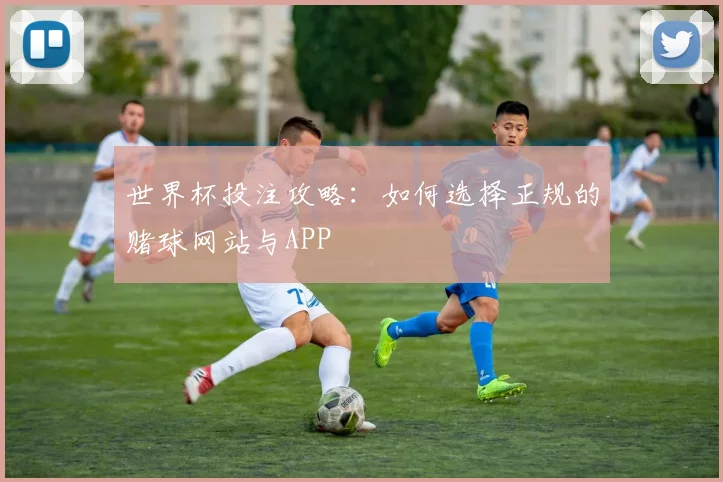 世界杯投注攻略：如何选择正规的赌球网站与APP